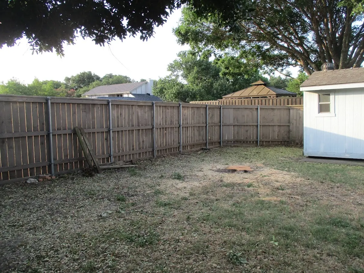 Cleared yard after professional tree removal in Joanna